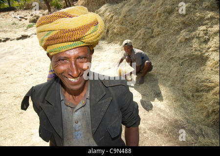 18 janvier 2012 - Farta (woreda, Gondar sud (zone, l'Éthiopie, le 18 janvier 2012, Buro Kantuna, Éthiopie - Les Amis d'un projet pilote de TESFA participant et son mari travailler séparant le grain d'ivraie dans un champ près de la maison du couple dans Kantuna Buro, Ethiopie. TESFA, qui est soutenu par l'ICRW restaur Banque D'Images