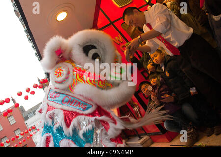 29 janvier 2012. Londres, Royaume-Uni - Un lion dancer la coutume traditionnelle de Cai Ching, littéralement plumer les verts, dans un magasin situé dans le quartier chinois -Le 10e anniversaire de célébrations du Nouvel An chinois à Trafalgar Square, sont les plus grandes célébrations à l'extérieur de la Chine. Photo:Graham Lawrence/Alamy News. Banque D'Images