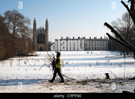 Cambridge, UK. 10 fév, 2012. Arbres sont coupés sur le site historique du dos à l'arrière du Kings College de Cambridge 10 février 2012. Les travaux ont commencé à enlever les arbres excédentaires pour éviter le surpeuplement et gérer le paysage. Banque D'Images