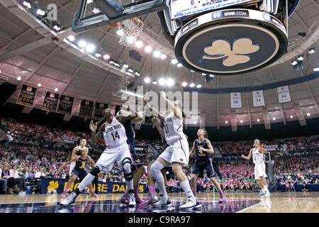 12 févr. 2012 - South Bend, Indiana, États-Unis - une vue générale comme Notre Dame transmet Devereaux Peters (# 14) et de l'avant Natalie Achonwa (# 11) fort de l'Ouest Virginie joueurs en deuxième moitié action de basket-ball match entre West Virginia et Notre Dame. Le West Virginia Mountaineers upse Banque D'Images