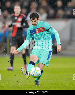 Football, Ligue des Champions, Leverkusen et FC Barcelone 1:3 --- Cesc Fabregas (Barcelone) Banque D'Images