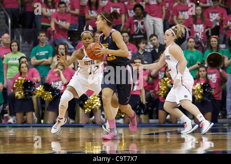 12 févr. 2012 - South Bend, Indiana, États-Unis - la Virginie de l'ouest de l'avant Jess Harlee (# 14) a l'air de passer la balle comme Fraderica garde Notre Dame Miller (# 12) défend en deuxième moitié action de basket-ball match entre West Virginia et Notre Dame. Le West Virginia Mountaineers bouleversé le Notre Dam Banque D'Images