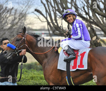 20 février 2012 - Hot Springs, Arkansas, États-Unis - Rafael Bejarano rode Bob Baffert Castaway formés à une victoire dans la première division de la 47e marche de l'Ouest Enjeux lundi après-midi à Oaklawn Park dans la région de Hot Springs. (Crédit Image : © Jimmy Jones/Eclipse/ZUMAPRESS.com) Banque D'Images