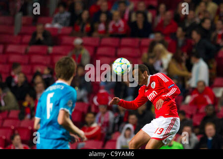 23 février 2012 - Lisbonne, Portugal - Rodrigo SL Benfica avant (R) et Nicolas Lombaerts FC Zenit Defender (L) pendant le jeu entre le Portugal et la Russie SL Benfica FC Zenit St Petersburg pour la deuxième étape de la ronde de 16 (1/8 de finale), de l'UEFA Champions League au stade de la Luz, à Lisbonne. Banque D'Images