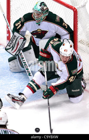 6 mars 2012 - Denver, Colorado, United States - Minnesota Wild center Warren Peters (43) efface la rondelle devant le gardien du Wild du Minnesota Matt Hackett (31) dans la deuxième période contre l'Avalanche du Colorado. Après deux périodes l'Avalanche mène 5-0. L'Avalanche du Colorado a accueilli la Minnesota Wi Banque D'Images
