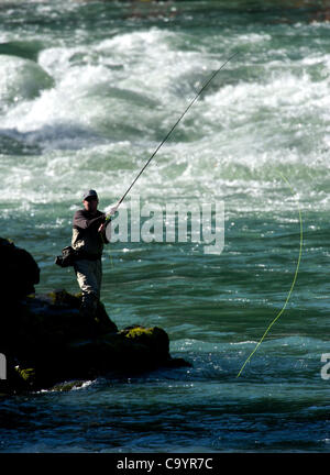 Le 9 mars 2012 - 1100, l'Oregon, États-Unis - Un pêcheur à la mouche Pêche de la truite arc-en-ciel sur la rivière North Umpqua près de Glide, Oregon, le nord de la rivière Umpqua est reconnue comme l'une des meilleures rivières de pêche de la truite arc-en-ciel en Amérique du Nord. A 33,8 milles de la rivière a été désignée comme wild and scenic par la United Stat Banque D'Images