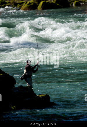 Le 9 mars 2012 - 1100, l'Oregon, États-Unis - Un pêcheur à la mouche Pêche de la truite arc-en-ciel sur la rivière North Umpqua près de Glide, Oregon, le nord de la rivière Umpqua est reconnue comme l'une des meilleures rivières de pêche de la truite arc-en-ciel en Amérique du Nord. A 33,8 milles de la rivière a été désignée comme wild and scenic par la United Stat Banque D'Images