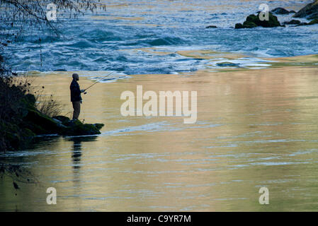 Le 9 mars 2012 - 1100, l'Oregon, États-Unis - Un pêcheur jette pour la truite sur la rivière North Umpqua près de Glide, Oregon, le nord de la rivière Umpqua est reconnue comme l'une des meilleures rivières de pêche de la truite arc-en-ciel en Amérique du Nord. A 33,8 milles de la rivière a été désignée comme wild and scenic par le United States co Banque D'Images