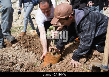 Le maire Nir Barkat, plante un arbre avec les garçons de Tsur Baher École élémentaire pour les garçons au cours d'une visite au quartier arabe sur 'bonnes actions Day' comme municipalité participe à un projet national qui encourage le travail pour la communauté. Jérusalem, Israël. 20-Mar-2012. Banque D'Images