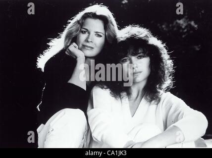 JACQUELINE BISSET Candice Bergen.riche et Famouns 1981.Fourni par Photos, inc.(Image Crédit : Â© fourni par Globe Photos, Inc/Globe Photos/ZUMAPRESS.com) Banque D'Images