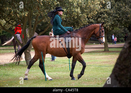 Île de Wight, Hampshire, Royaume-Uni dimanche 3 juin 2012. Célébrations du jubilé à Osborne House. Les cavaliers de 3 à côté comprennent des dames audacieuses chevauchant le side-addle et concourant dans une variété de compétitions audacieuses de saut et de relais équestres. Banque D'Images