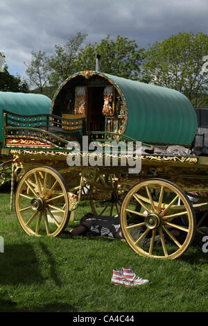 Vardo Romany Travellers Caravan ; caravanes traditionnelles de Gypsy tirées par des chevaux ou chariots couverts en toile « Bow Top » en route vers le rassemblement annuel à Appleby, South Lakeland, Royaume-Uni.Hébergement en CoB et Romany showman Wagon of the Voyager Community, camping à Bainbridge, dans le Yorkshire du Nord Dales, en route vers la foire équestre Appleby, Royaume-Uni Banque D'Images