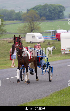 Mardi 5 juin, 2012 : un jeune homme exerçant sa pony, en route vers le fin est tombé, Sedbergh. Un voyageur participant à la foire aux chevaux annuelle Appleby, Cumbria, Royaume-Uni Banque D'Images