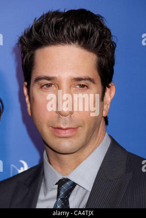 Le 7 juin 2012 - New York, New York, États-Unis - l'acteur David Schwimmer assiste à la première de New York 'Madagascar 3 : Europe's Most Wanted" tenu à la Ziegfeld Theatre. (Crédit Image : © Kaszerman ZUMAPRESS.com)/Nancy Banque D'Images