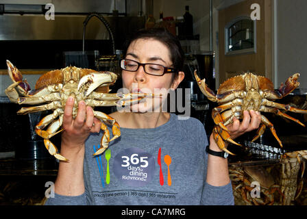 Vendredi 22 juin 2012, en Colombie-Britannique, Canada. Tourism Richmond Foodie Blogger, Lindsay Anderson est cueillette à un couple des crabes dormeurs à la Steveston Crab Shack pour l'échantillonnage sur son 17e jour de la 365 jours consécutifs, elle sera de manger dans les restaurants de Richmond. Banque D'Images