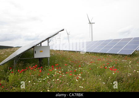 Westmill. Nr Watchfield Swindon, Royaume-Uni. Samedi 23 juin 2012. Westmill ferme de l'énergie le jour de son offre sur les actions de sa ferme solaire. Westmill est le premier parc d'énergie éolienne et solaire d'être administré conjointement par ses membres. L'installation des panneaux solaires vont produire 4,8 GWh par an d'électricité propre, assez pour alimenter 1 400 foyers. Banque D'Images