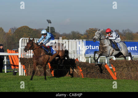 Fingal Bay monté par Richard Johnson mène à la dernière haie de Simonsig monté par Barry Garaghty pour gagner le Neptune Investment Management Novices' Hurdle (enregistrée l'hiver novices' hurdle) à Sandown Park Racecourse, ESHER, Surrey - 02/12/2011 - CRÉDIT : Martin Dalton/TGSPHOTO Banque D'Images