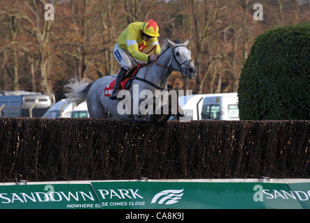 Al Ferof monté par Ruby Walsh saute la dernière fencee sur son chemin vers la victoire dans l'assurance Markel Henry VIII Novices' Chase à l'Hippodrome Sandown Park, ESHER, Surrey - 03/12/2011 Banque D'Images