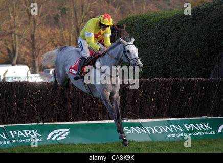 Al Ferof monté par Ruby Walsh saute la dernière fencee sur son chemin vers la victoire dans l'assurance Markel Henry VIII Novices' Chase à l'Hippodrome Sandown Park, ESHER, Surrey - 03/12/2011 - CRÉDIT : Martin Dalton/TGSPHOTO Banque D'Images