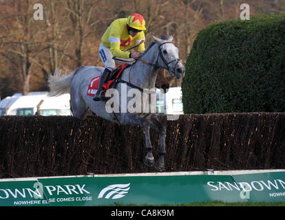 Al Ferof monté par Ruby Walsh saute la dernière fencee sur son chemin vers la victoire dans l'assurance Markel Henry VIII Novices' Chase à l'Hippodrome Sandown Park, ESHER, Surrey - 03/12/2011 - CRÉDIT : Martin Dalton/TGSPHOTO Banque D'Images