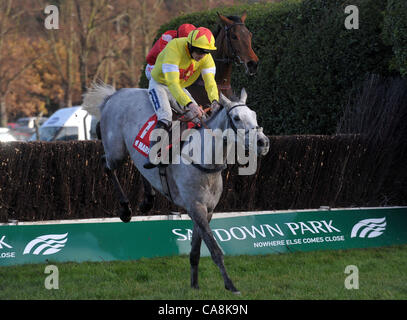 Al Ferof monté par Ruby Walsh saute la dernière fencee sur son chemin vers la victoire dans l'assurance Markel Henry VIII Novices' Chase à l'Hippodrome Sandown Park, ESHER, Surrey - 03/12/2011 - CRÉDIT : Martin Dalton/TGSPHOTO Banque D'Images