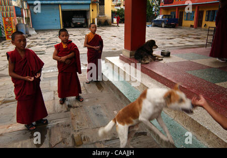 Katmandou, Népal - août 22, 2003 moines bouddhiste tibétain jouer avec un chien à l'extérieur du monastère de Sakya Tharig . Il y a actuellement près de 120 000 Tibétains en exil, et quelques 12.000 d'entre eux sont au Népal. Beaucoup d'entre eux sont des réfugiés qui ont fui leur pays après l'invasion de 1950 le peuple communiste Banque D'Images