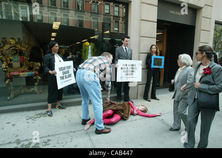 Apr 22, 2004 ; New York, NY, USA ; Peta protestataires au devant de la Dolce & Gabbana créateur de vêtements boutique de Madison Avenue. Peta a organisé la manifestation pour attirer l'attention sur l'abattage des bébés phoques au Canada. Banque D'Images