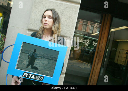 Apr 22, 2004 ; New York, NY, USA ; Peta protestataires au devant de la Dolce & Gabbana créateur de vêtements boutique de Madison Avenue. Peta a organisé la manifestation pour attirer l'attention sur l'abattage des bébés phoques au Canada. Banque D'Images