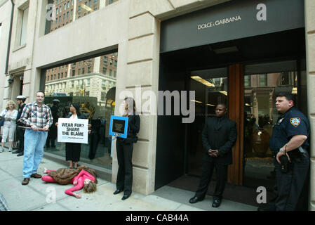 Apr 22, 2004 ; New York, NY, USA ; Peta protestataires au devant de la Dolce & Gabbana créateur de vêtements boutique de Madison Avenue. Peta a organisé la manifestation pour attirer l'attention sur l'abattage des bébés phoques au Canada. Banque D'Images