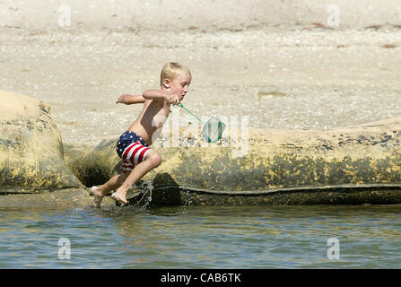 051404 JUPITER - Christopher Fagen, 6, du Royal Palm Beach, sauts dans l'eau après certaines créatures marines tout en jouant avec sa famille à Dubois Park vendredi matin. Christopher, étudiant à l'école élémentaire Johnson H. L., avait un jour de congé pour les vacances de printemps. Il aime Dubois Park, et l'appelle ' Banque D'Images