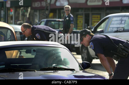 Les agents de police d'Alameda parler avec les automobilistes arrêtés à un check point sur la rue Park à Alameda, Californie, le mercredi 28 avril, 2004. Le point de contrôle a été organisé pour savoir si les automobilistes et leurs passagers portaient leur ceinture de sécurité et pour vérifier la présence d'autres violations. (Contra Costa Times/Sherry LaVars) Banque D'Images