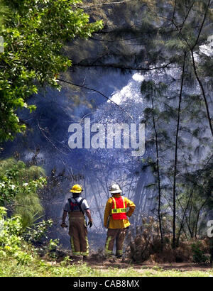 Réseau Express Régional WEST PALM BEACH ; 5/23/04 : les pompiers du comté de Palm Beach un camion-citerne direct's spray d'eau dans un peuplement de pins australiens qu'ils maintiennent le périmètre d'un feu de brousse au sud de Okeeheelee Park dans la banlieue de Palm Beach County dimanche après-midi. La photo de l'eau/ Lannis représente P Banque D'Images