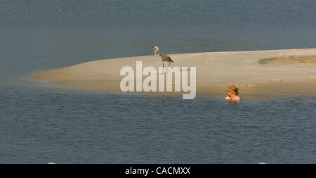 14 juin 2010 - Dauphin Island, Alabama, États-Unis - un nageur partage sa place avec un grand heron sur la plage à Dauphin Island, Alabama, Etats-Unis, 14 juin 2010. Le président américain Barack Obama fait une quatrième visite à la côte américaine du golfe du Mexique depuis la plateforme Deepwater Horizon de BP marée noire du golfe du Mexique a commencé. Le déversement de pétrole Banque D'Images