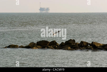 14 juin 2010 - Dauphin Island, Alabama, États-Unis - un héron prend son envol avec une plate-forme pétrolière dans le contexte de l'huile sur la plage de l'île menacée à Dauphin, Alabama, Etats-Unis, 14 juin 2010. Le président américain Barack Obama fait une quatrième visite à la côte américaine du golfe du Mexique depuis la plateforme Deepwater Horizon de BP dans le golfe du Mexique o Banque D'Images