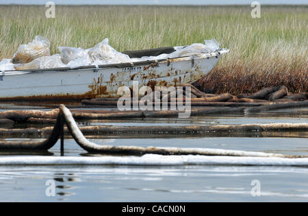 17 juin 2010 - Port de soufre, Louisiane, États-Unis - un vitrail voile et de flèche sont considérés sont considérés dans une région de Barataria Bay endommagé par le golfe du Mexique BP oil spill à Port Sulpher, Louisiane, USA 17 juin 2010. Le déversement de pétrole est la plus importante dans l'histoire des Etats-Unis et continue de menacer la faune, l'écosystème Banque D'Images