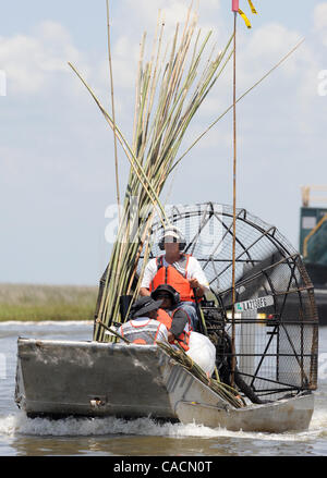 17 juin 2010 - Port de soufre, Louisiane, États-Unis - un hydroglisseur pilote poursuit les travailleurs de la rampe d'une zone de Barataria Bay endommagé par le golfe du Mexique BP oil spill à Port Sulpher, Louisiane, USA 17 juin 2010. Le déversement de pétrole est la plus importante dans l'histoire des Etats-Unis et continue de menacer la faune, l'écosystème et th Banque D'Images