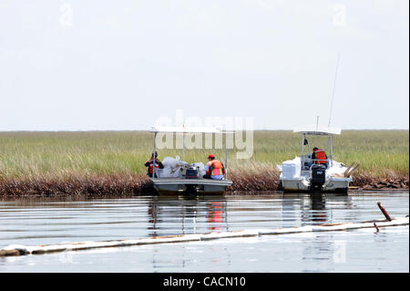 17 juin 2010 - Port de soufre, Louisiane, États-Unis - Les travailleurs ont tendance à la flèche dans une zone de Barataria Bay endommagé par le golfe du Mexique BP oil spill à Port Sulpher, Louisiane, USA 17 juin 2010. Le déversement de pétrole est la plus importante dans l'histoire des Etats-Unis et continue de menacer la faune, l'écosystème et l'économie de l'e Banque D'Images