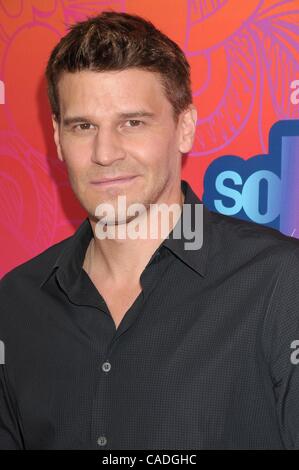 02 août 2010 - Los Angeles, Californie, USA - Aug 02, 2010 - Los Angeles, Californie, USA - l'acteur David Boreanaz au Fox All Star Party qui a eu lieu sur la jetée de Santa Monica, à Los Angeles. (Crédit Image : © Paul Fenton/ZUMApress.com) Banque D'Images