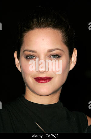 Jan 12, 2008 - Century City, California, USA - Actrice Marion COTILLARD arrivant à la 33e édition du Los Angeles Film Critics Association Awards tenue à l'hôtel InterContinental Los Angeles Hôtel. (Crédit Image : Banque D'Images