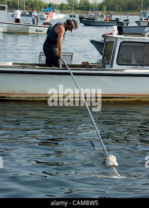 (Quahoger shellfisherman) dans la baie de Narragansett au large de Rhode Island Banque D'Images