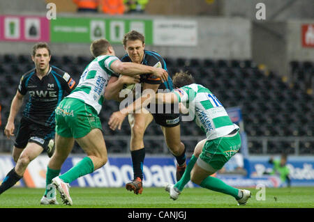 RaboDirect PRO12 - Ospreys v Trévise @ Le stade Liberty à Swansea. Les balbuzards Ashley Beck est pris. Banque D'Images