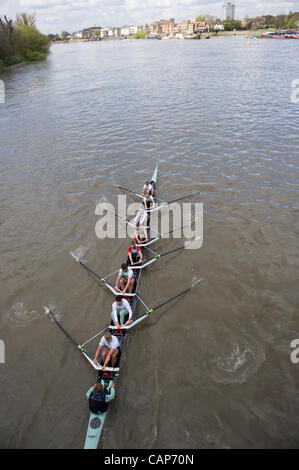 04/04/2012. Le 158e Xchanging Oxford & Cambridge Boat Race des universités. Au cours de l'année d'une sortie pratique Tideway semaine. L'équipage bleu Cambridge sur une pratique sortie, passant sous le pont d'Hammersmith. L'équipage bleu Cambridge:-1 arc : David Nelson (AUS), 2 Moritz Schramm (GER), 3 Jack Lindeman (USA), Banque D'Images