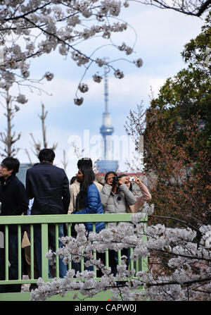 Le 7 avril 2012, Tokyo, Japon - Des milliers de Japonais s'apprécier la pleine floraison des cerisiers en fleurs au parc Chidorigafuchi au coeur de Tokyo le samedi 7 avril, 2012. Son week-end de Pâques pour les chrétiens, mais un de ses cerisiers en fleurs le temps d'écoute pour le japonais. L'assemblée annuelle de cerisiers bl Banque D'Images