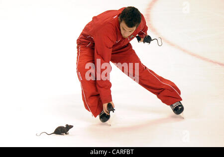 13 avril 2012 - Sunrise, FL - Florida, USA - Etats-Unis - des rats en plastique est ramassé sur la glace après la Panthère fait le score 3-2 dans la deuxième période. Devils du New Jersey vs Florida Panthers NHL Playoffs Round 1. BankAtlantic Center, de Sunrise, en Floride. 4/13/12. Jim Rassol, Sun Sentinel. (Cr Banque D'Images