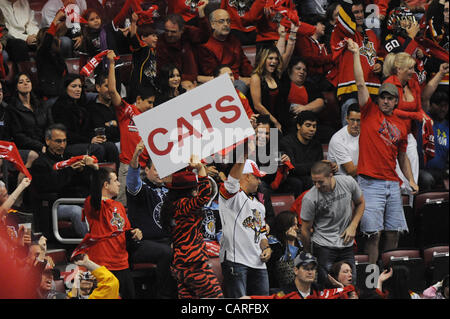 13 avril 2012 - Sunrise, FL - Florida, USA - Etats-Unis - panthères fans célébrer un but en deuxième période. Devils du New Jersey vs Florida Panthers NHL Playoffs Round 1. BankAtlantic Center, de Sunrise, en Floride. 4/13/12. Jim Rassol, Sun Sentinel. (Crédit Image : © Sun-Sentinel/ZUMAPRESS.com) Banque D'Images