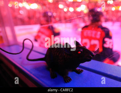 13 avril 2012 - Sunrise, FL - Florida, USA - Etats-Unis - un rat en plastique siège au conseil avant le match contre les Devils du New Jersey. Devils du New Jersey vs Florida Panthers NHL Playoffs Round 1. BankAtlantic Center, de Sunrise, en Floride. 4/13/12. Jim Rassol, Sun Sentinel. (Crédit Image : Banque D'Images