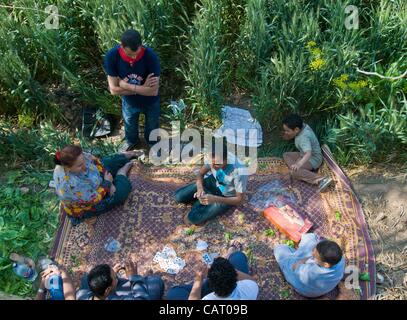 Les Egyptiens de tous les milieux célèbrent les vacances extrêmement populaires du premier jour officiel du printemps, 'Sham El Nessim', les gens se rassemblent pour pique-niquer dans les parcs et dans la campagne, en Égypte Banque D'Images