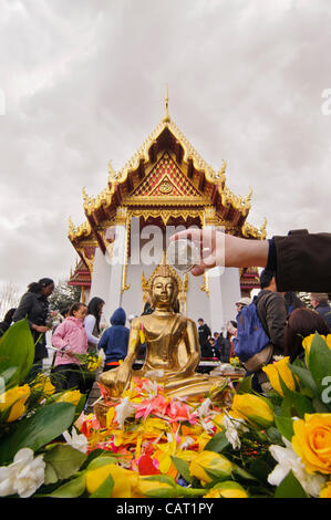 Wimbledon, Londres, Royaume-Uni, 15 avril 2012. À la Thai temple de Wat Buddhapadipa pour célébrer Songkran, Nouvel An thaï, un placement est fait à une statue de Bouddha. Banque D'Images
