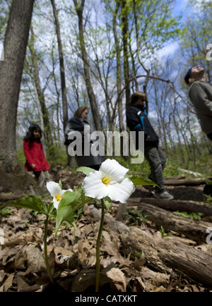 Avril 22, 2012 - Ann Arbor, Michigan, États-Unis - les gens à pied passé trilles lors d'une visite guidée à travers les bois de l'étang noir lors de la Journée de la Terre à l'Leslie Science Center à Ann Arbor, MI, le 22 avril 2012. (Crédit Image : © Mark Bialek/ZUMAPRESS.com) Banque D'Images