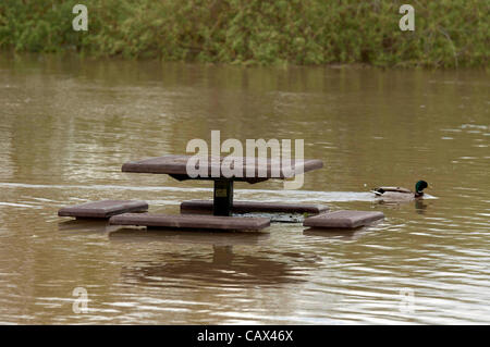 Tewkesbury- UK - 30 avril 2012 - tables de pique-nique au bord de la rivière inondée à Tewkesbury, Royaume-Uni après de fortes pluies. Banque D'Images